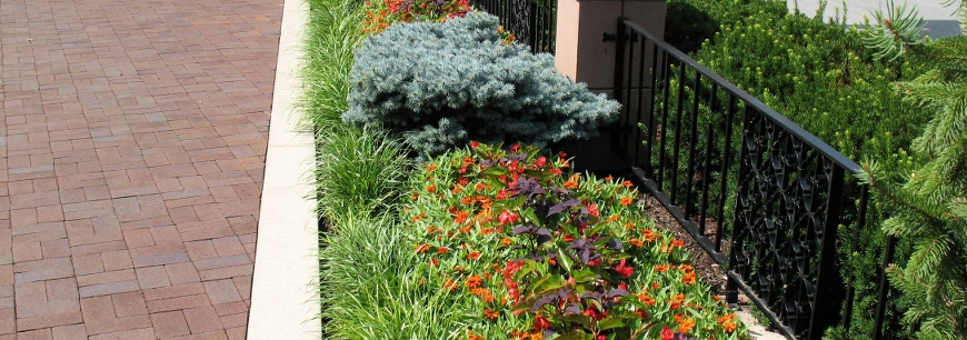 Commercial Landscape Landscaping Miami Best Top Design Lawn Care Service Maintenance Fl